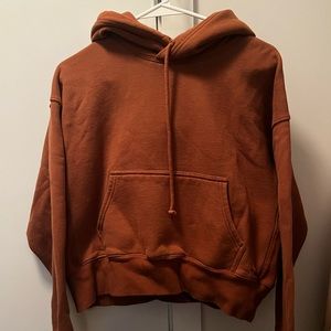 Aritzia Boyfriend Fit Cozy Fleece Hoodie